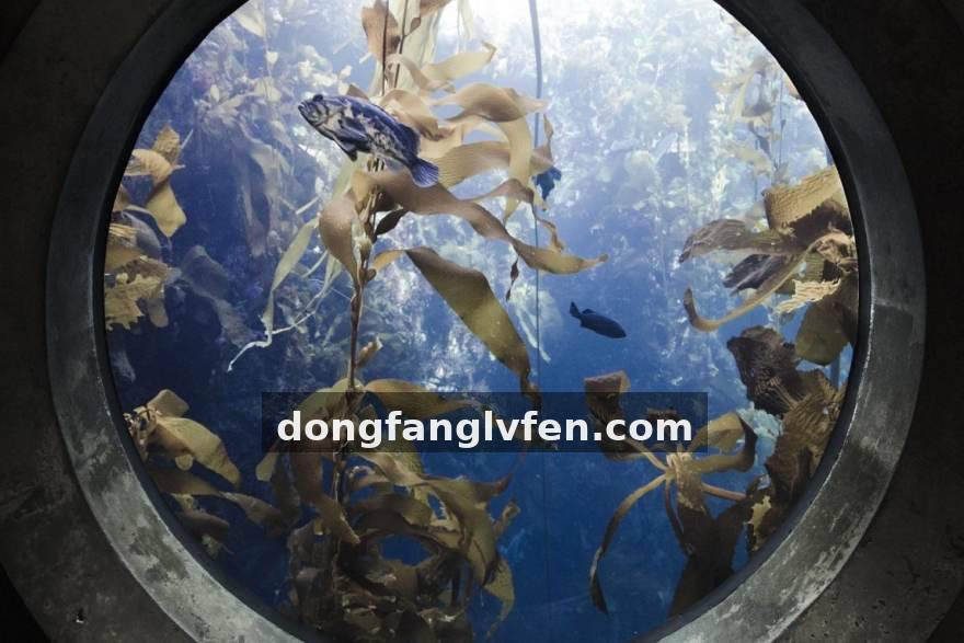 电竞牛榜单盘点：赛季中段五类被低估的战术角色与他们的数据画像