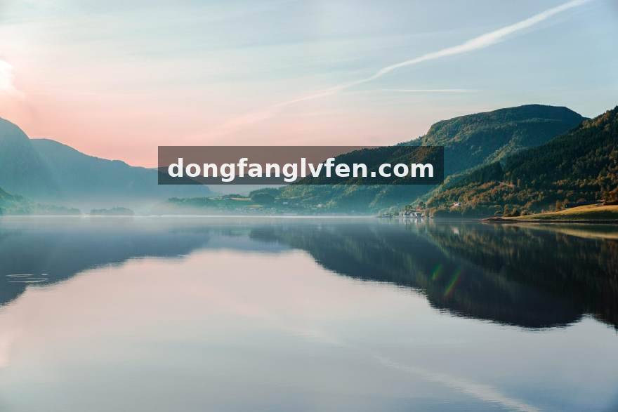 版本更新后的第一个月：四项主流项目战术风向谁先变